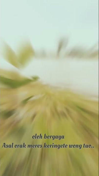 story wa, mood