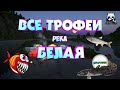 🔴РУССКАЯ РЫБАЛКА 4 (RUSSIAN FISHING 4)🔴 - ВСЕ ТРОФЕИ РЕКА БЕЛАЯ. ПОЧЁТНЫЙ РЫБОЛОВ.