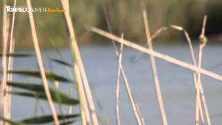 La Laguna de los Villares: un oasis en el mar de olivos de Torredonjimeno