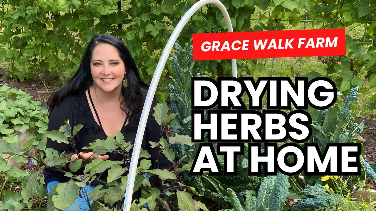 Сушка трав дома