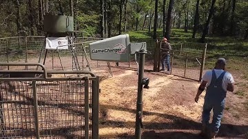 Hog Trapping: The S.P.E.A.R. Process - The Management Advantage