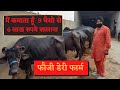 9 भैंसो के डेरी फार्म  से कितनी  कमाई / भैंस से कितनी कमाई / BuffaloDairy Farm Income #farmeradvisor