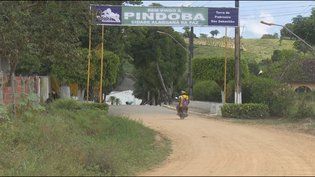 Pindoba Alagoas fonte: i.ytimg.com Fonte: i.ytimg.com