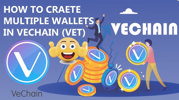How To Create Multiple Wallets in Vechain ( VET ) | Vechain Sync Wallet