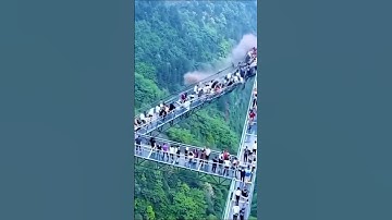 Glass Bridge BREAKS in SECONDS 😱 🌉#shorts