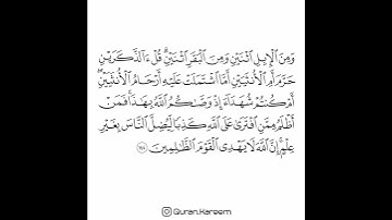 القارئ سعد الغامدي - سورة الأنعام - الآية 144