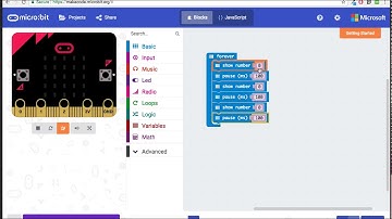 Micro:Bit Basics - Forever