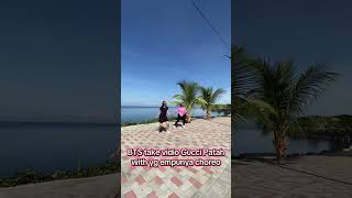 Download Lagu BTS Gucci Patah line dance. choreo by Amelia Lisa Rumuat #linedance #dance #uld #sulut #fypシ MP3