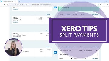 Xero Tips : Split Payments