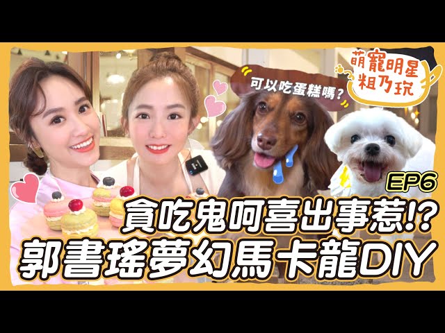 EP6 郭書瑤 圓圓 粗乃玩啦！ Sandy 挑戰夢幻馬卡龍DIY 再度逼瘋老師！ 呵喜 驚爆緊急狀況送醫院？！【 萌寵明星粗乃玩 】瑤到貓空喝茶去