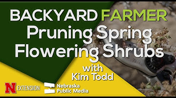Timing is Everything: Pruning Spring-Blooming Shrubs
