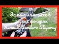 Замена лампочек в задних фонарях Renault Sandero Stepway 2012