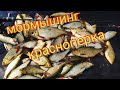 Neoline 0.1-2/Мормышинг/Краснопёрка на спиннинг с лодки/Полный отрыв/