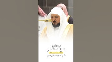 سورة الاحقاف | الشيخ #ماهر_المعيقلي