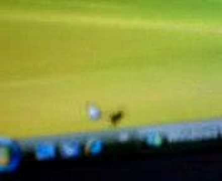spider Chasing cursor
