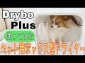 これはスゴイ！話題の ペット用 ボックス型 ドライヤー【Drybo Plus】を使ってみました♪