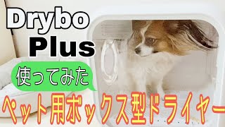 これはスゴイ！話題の ペット用 ボックス型 ドライヤー【Drybo Plus】を使ってみました♪