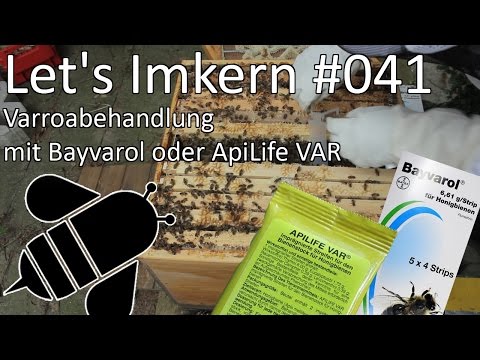 Let's Imkern | #041 | Varroabehandlung mit Bayvarol oder Api Life VAR