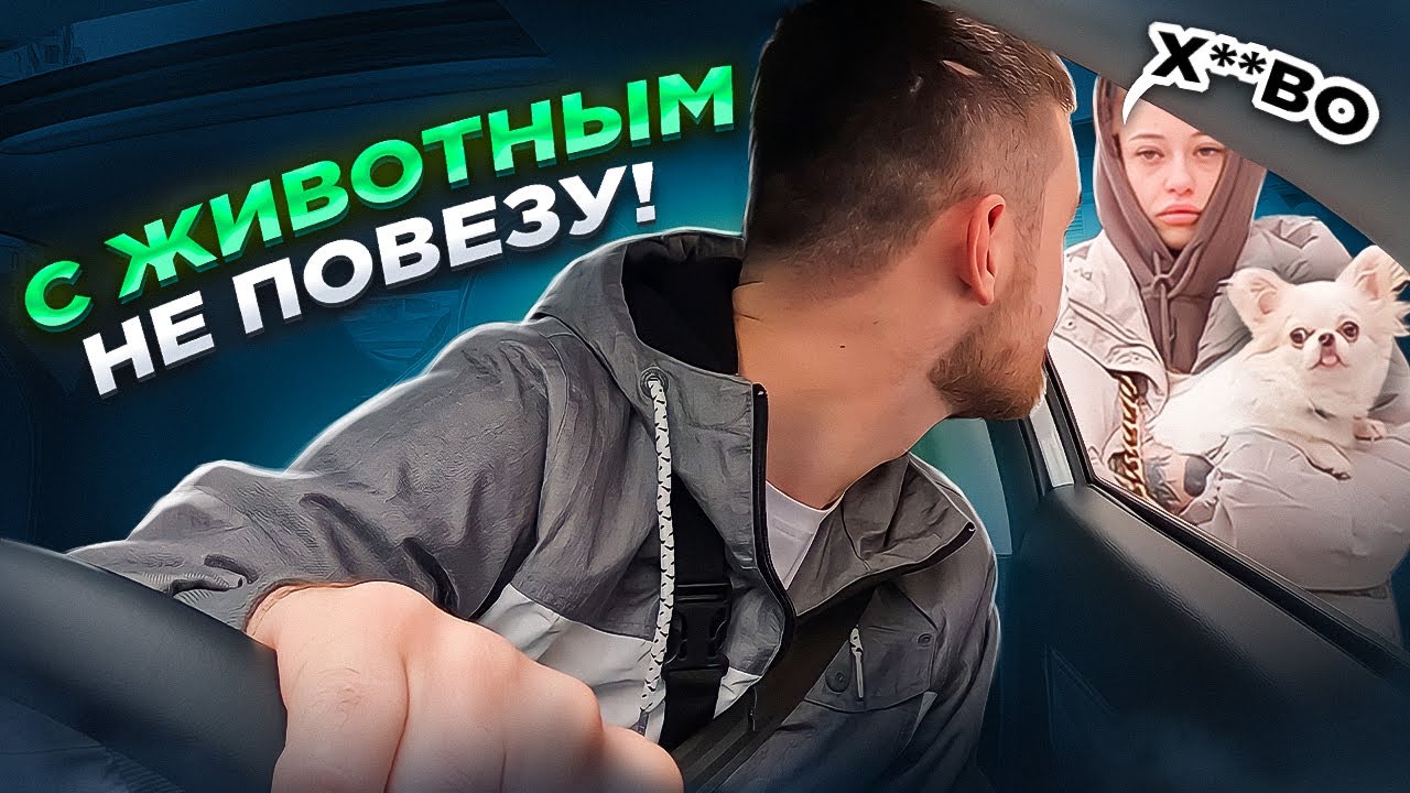 МАРАМОИ В ТАКСИ | Х**ВО что с животным нельзя! | Тариф КОМФОРТ+ - YouTube