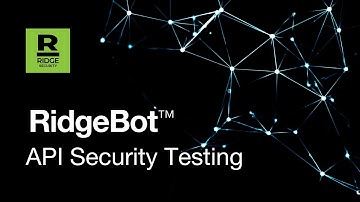 Unlocking the Power of API Security Testing with RidgeBot®
