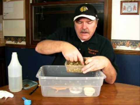 crested gecko diet repashy How to Set Up A Leopard Gecko Enclosure