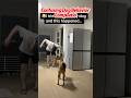 Trust issues unlocked#dogprank #funnydogvideo #do
