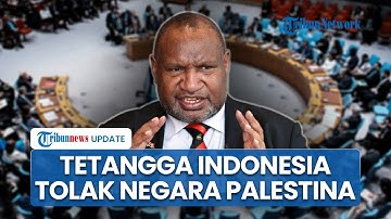 Daftar 10 Negara yang Tolak Resolusi Palestina Merdeka di Majelis Umum PBB, Ada Tetangga Indonesia