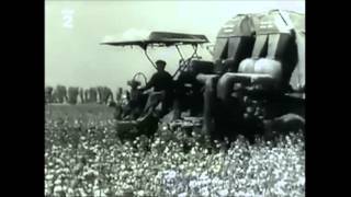 Sklizeň Bavlny 1961 | harvest cotton