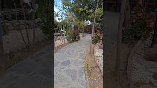 Eyes Truly Possess A Captivating Allure That Draws Us In. They Serve As Windows To The Soul.