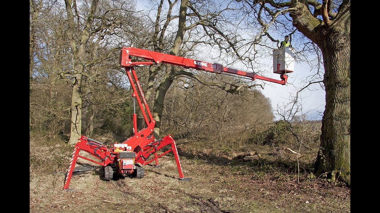 Tree Service Johnstown PA | The Chattham Group