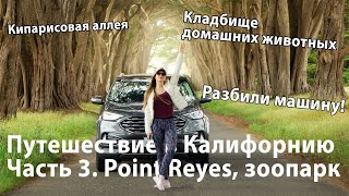 Сан Франциско. Часть 3. Нац. парк Point Reyes. Разбили машину, украли вещи. Кипарисовая аллея by Balto the Schipperke 267 views 4 years ago 30 minutes