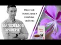 Иван-чай: так ли полезен традиционный русский напиток?