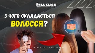 Структура будови волосся. Семінари Luxliss Pro School