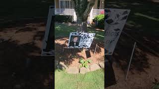 The Best Sod Your Money Can Buy | Zeon Zoysia by Brooks Landscaping #shorts #sod #drainage #faith