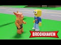 Je prank encore oda sur brookhaven rp 2  proder