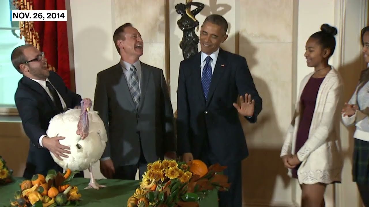 Presidential turkey pardons through the years