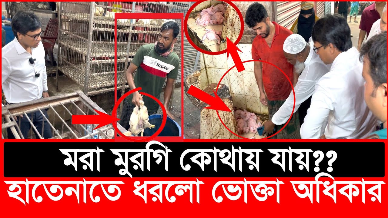 ম-রা মুরগি কোথায় যায়? হাতেনাতে ধরল ভোক্তা অধিকার | Daily Issues | Vokta odhikar | ভোক্তা অধিকার