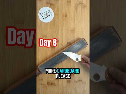 Retesting Day 8️⃣: Spyderco Paramilitary 2 Rex45   