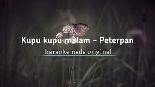 Kupu kupu malam - Peterpan (cover instrumen \u0026 guitar)