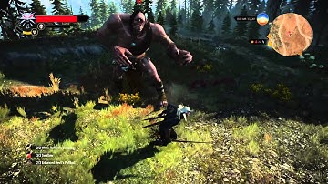 The Witcher 3: Cyclops