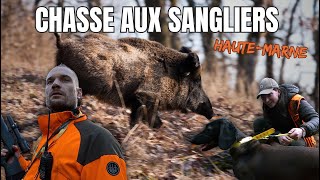 Wild boar hunting in Haute Marne Episode 1 (4K)