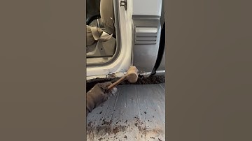 Rust damage. #diy #repair #rusty #automobile #mechanic #silverado #shorts #rust #truck #hammer