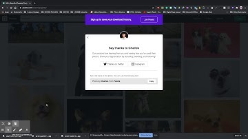 How to get free-to-use photos from Pexels or Unsplash