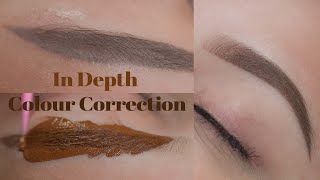 In Depth Ombre Powder Brow Colour Correction | PMU Treatmeant