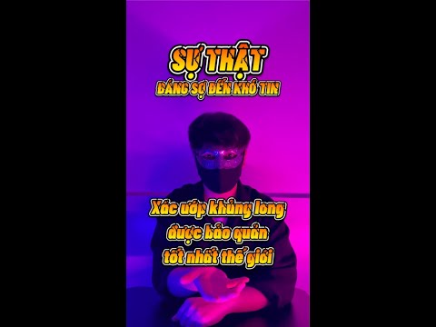 Video Xác Ướp Khủng Long Được Bảo Quản Tốt Nhất Thế Giới |... - youtube