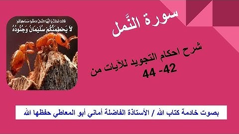 سورة النمل: - شرح أحكام التجويد للآيات  من 42 إلى 44