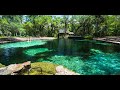 Juniper Springs | Ocala National Forest | Fort McCoy Florida | Vanlife | Hike | AFT 2023 | Fired up