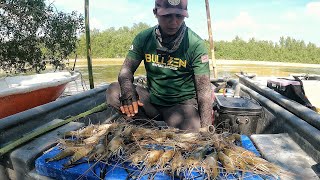 Seperti Memancing Di Kolam  Udang Galah