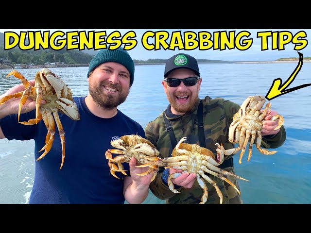 Top 10 Dungeness Crabbing Tips (#2 Is a MUST!) 