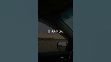 قال ربي اشرح لي صدري ويسر لي أمري | القارئ احمد خضر